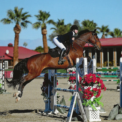  Zoe Conlee, Premium Hunter/Jumper, Show Instructor and Trainer