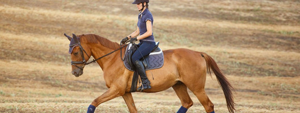 Longitudinal and Lateral: Flexion vs. Bend
