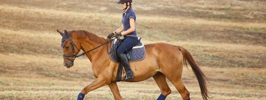 Longitudinal and Lateral: Flexion vs. Bend
