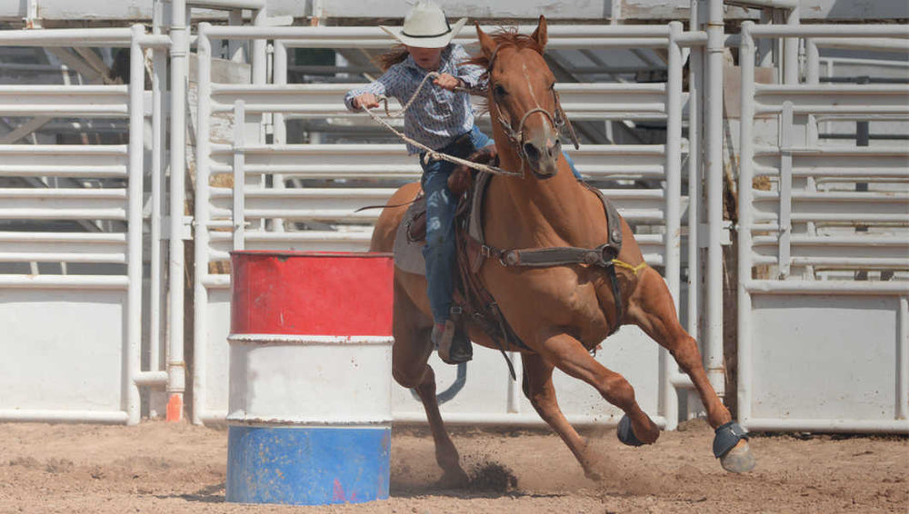 BRL Equine Support for barrel horse