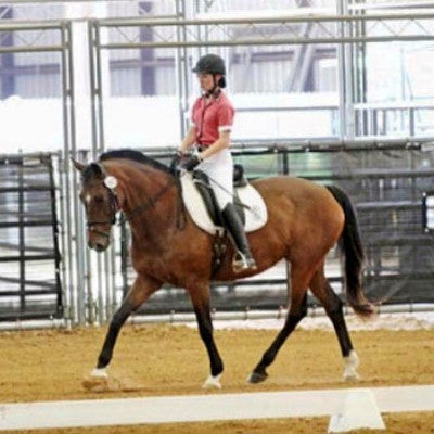 Erin McNew, Multidisciplined Professional Rider and Trainer
