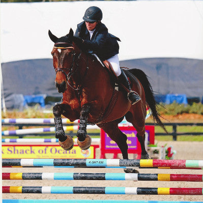  Lisa Clements, Show Jumper