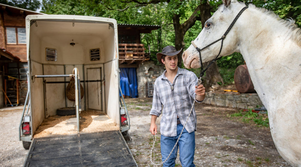Positioning Your Barrel Horse for Success