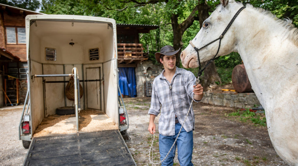 Positioning Your Barrel Horse for Success