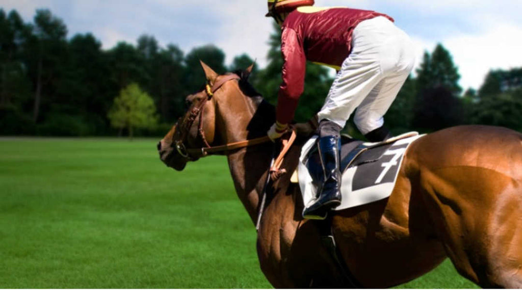 steeplechase and blood builders