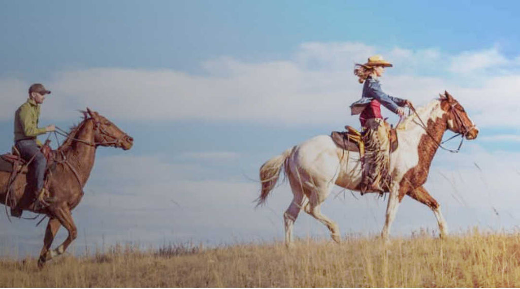 Hill work in Equine Athlete