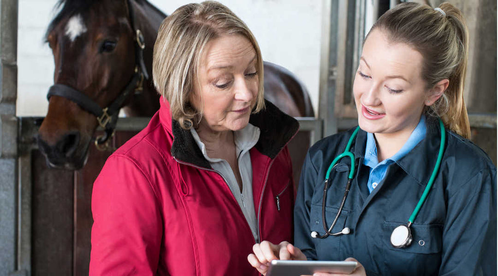 Supporting Your Horse's Immune System