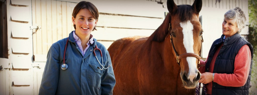 5 Ways to Keep a Senior Horse Jumpin'