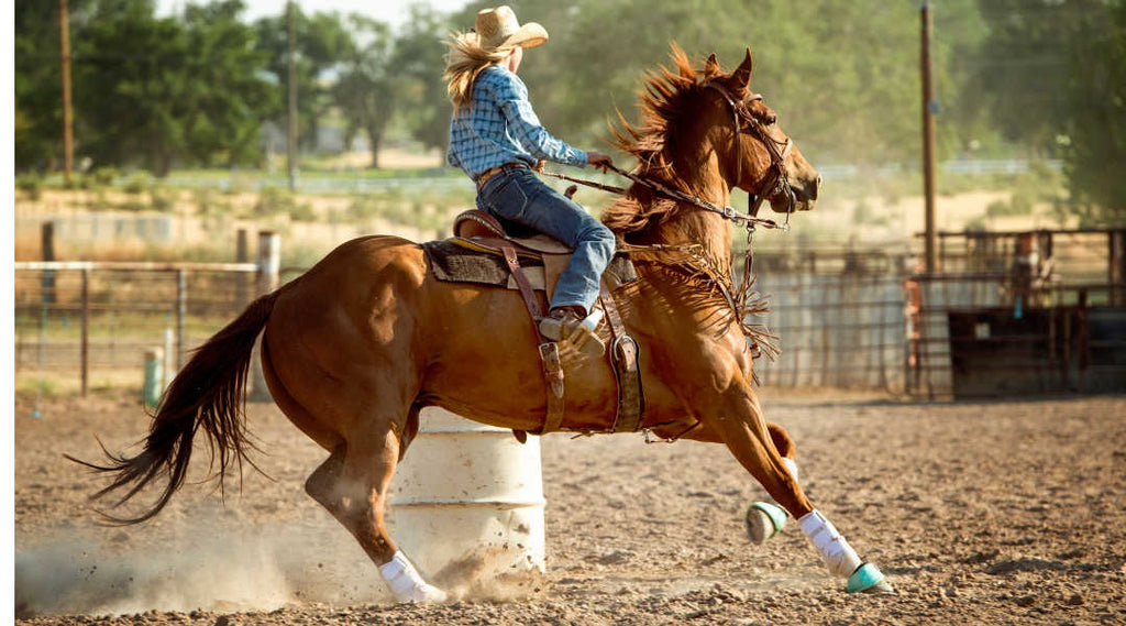 Ways to Keep Your Barrel Horse Loving His Job