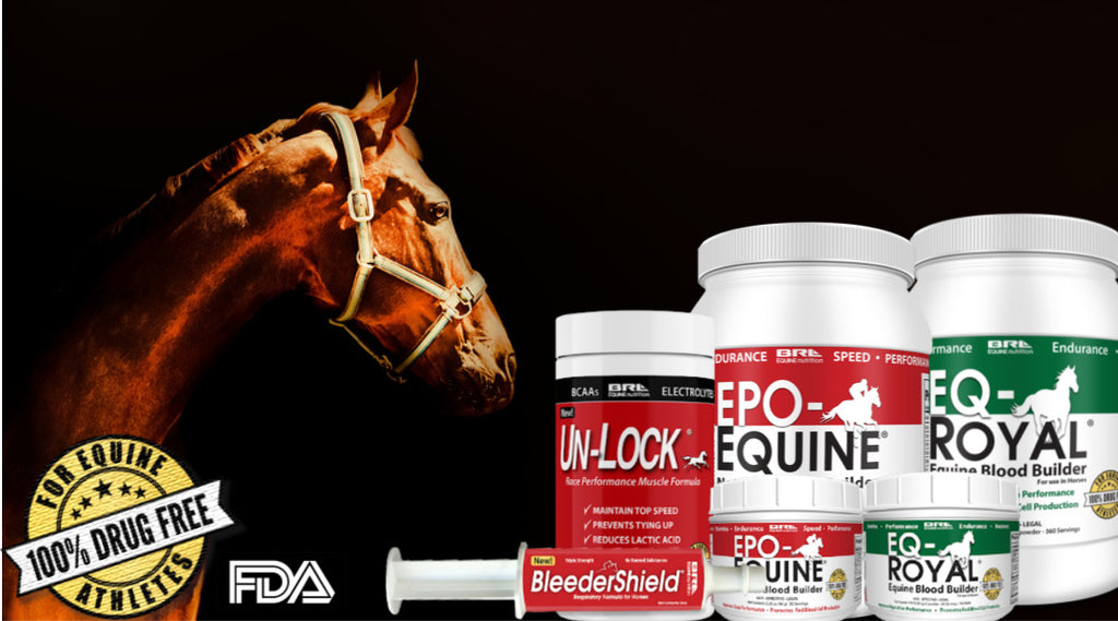 brl equine horse supplements