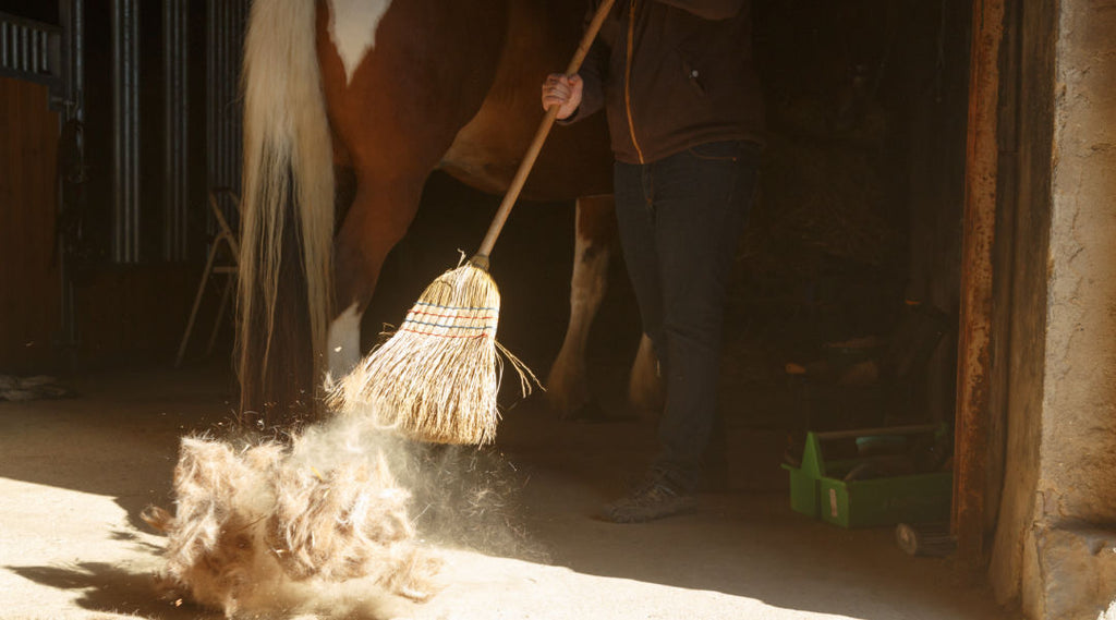 sweeping out horse barn