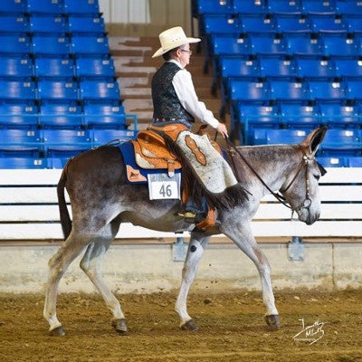  Candace Shauger, Owner of Hall of Fame Jack- TJC Clyde