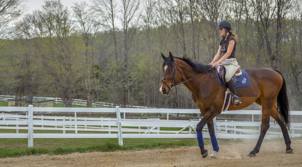 woman riding competition horse