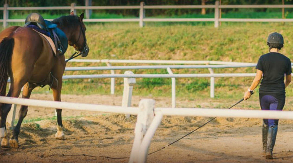 Condition training to prevent injury in horse