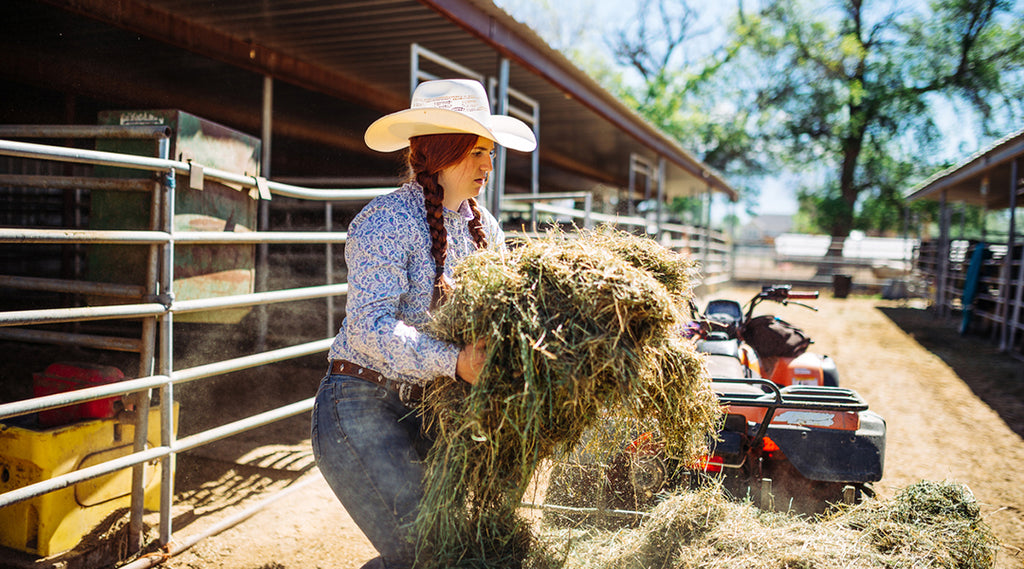 cowgirl bailing hay outside stalls