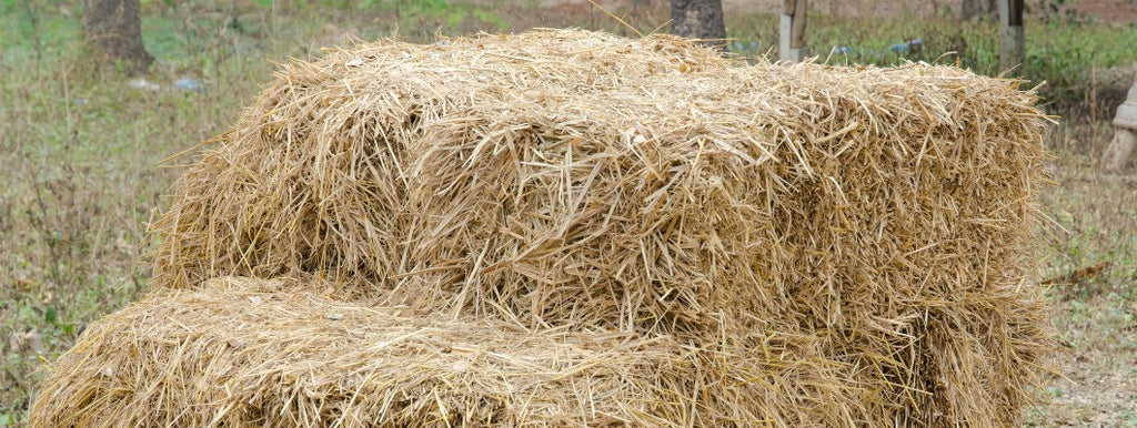 hay bales