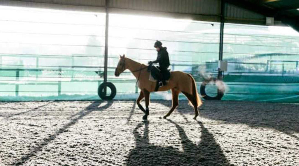 horse arena freezing