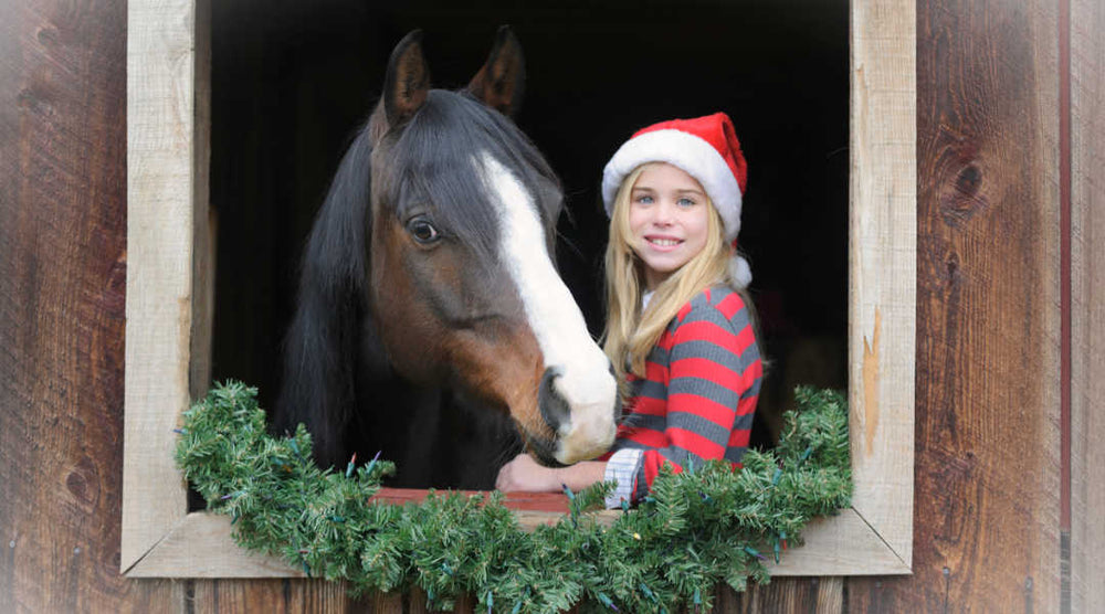 girl with horse at christmas