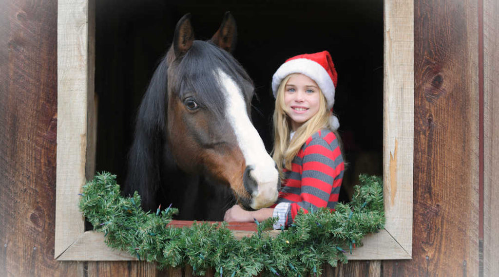 girl with horse at christmas