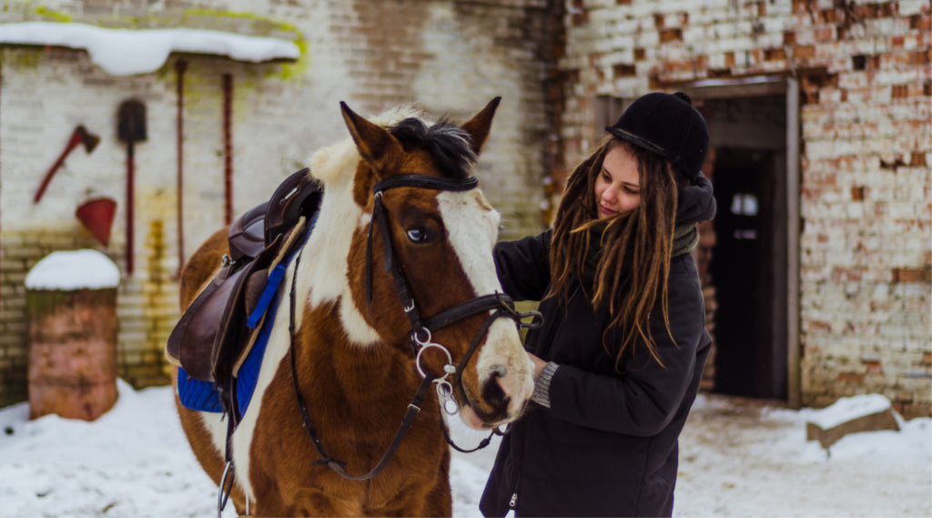 woman caring for horse in winter