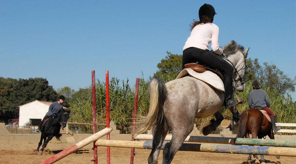 horse jumping training