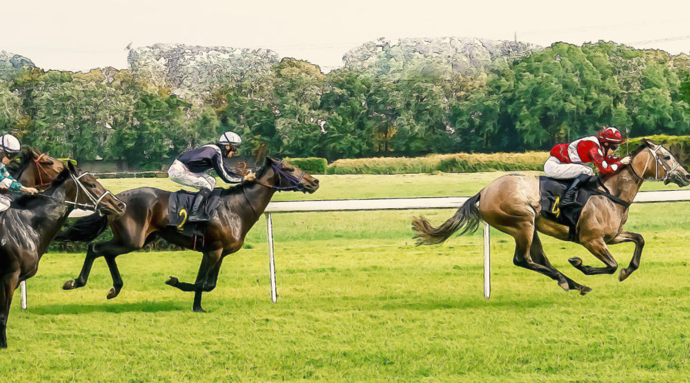 horse racing
