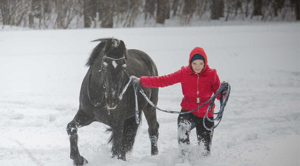 horse training in winter