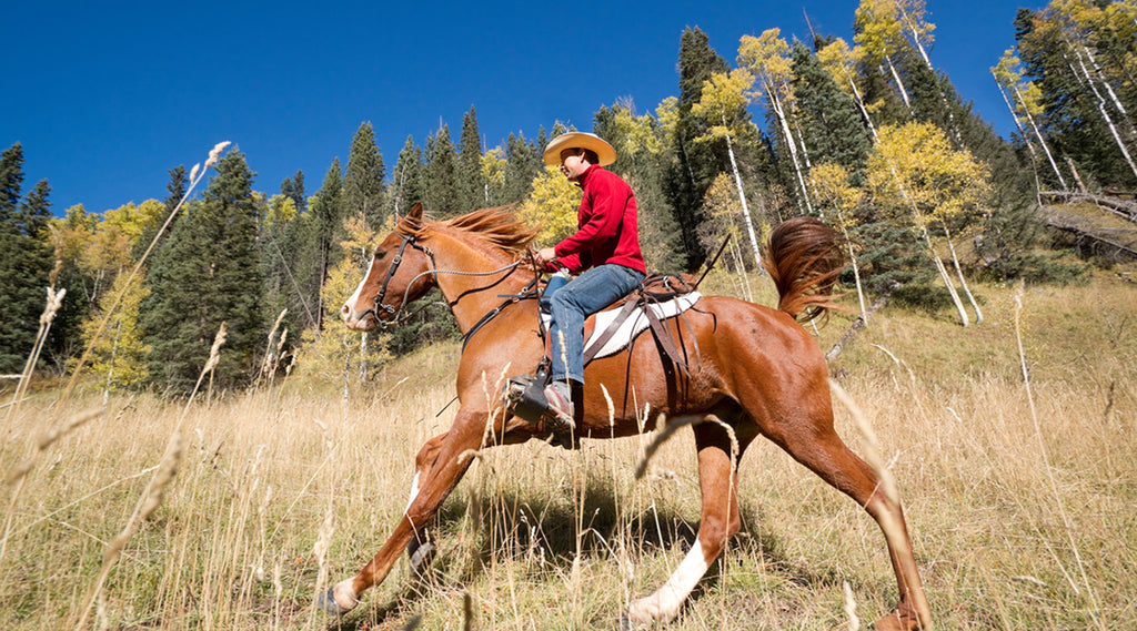 man riding barrel horse on mountain trail