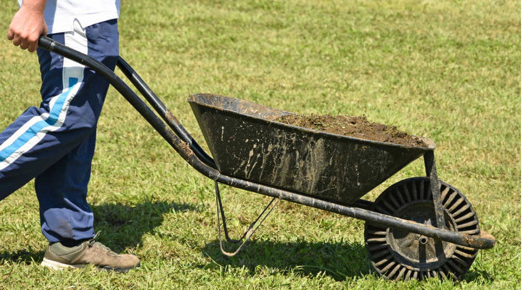 horse manure pile