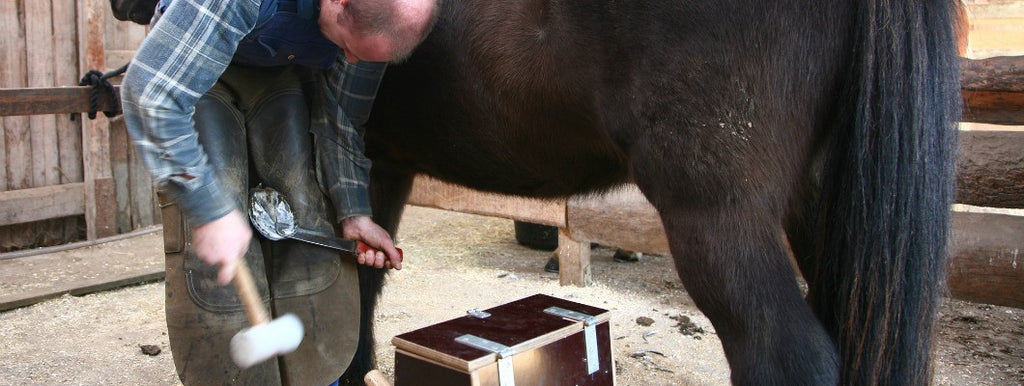 Man shoeing a horse