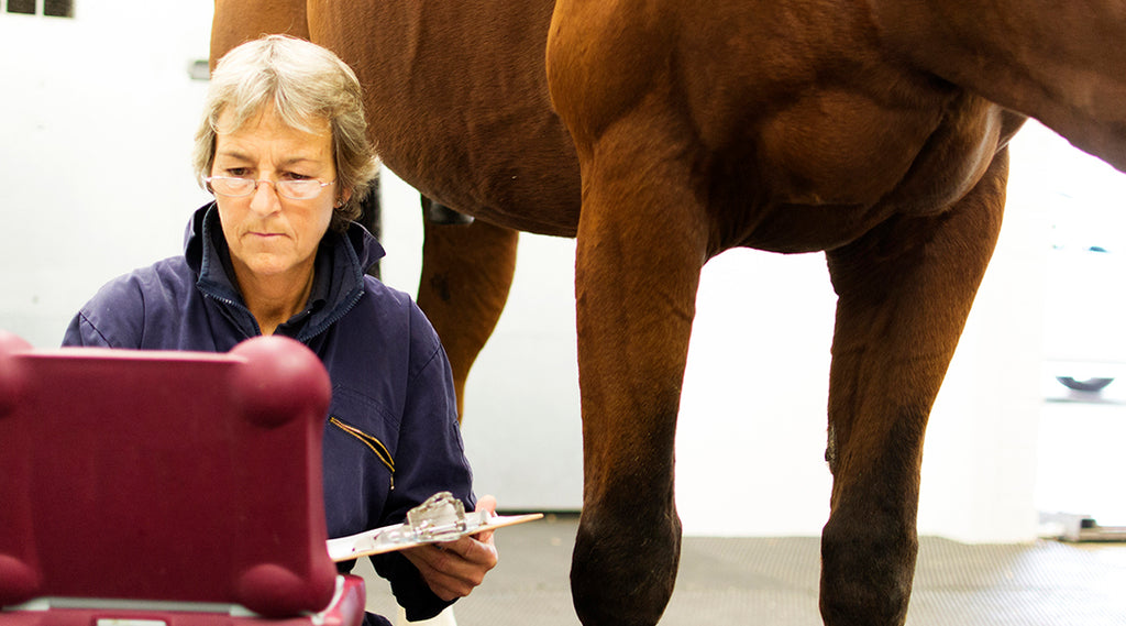 Strategies to Keep Your Performance Horse Free of Prohibited Substances