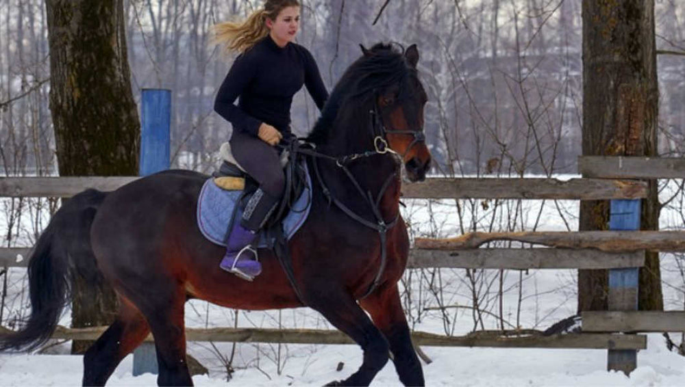 horse working out in cold weather