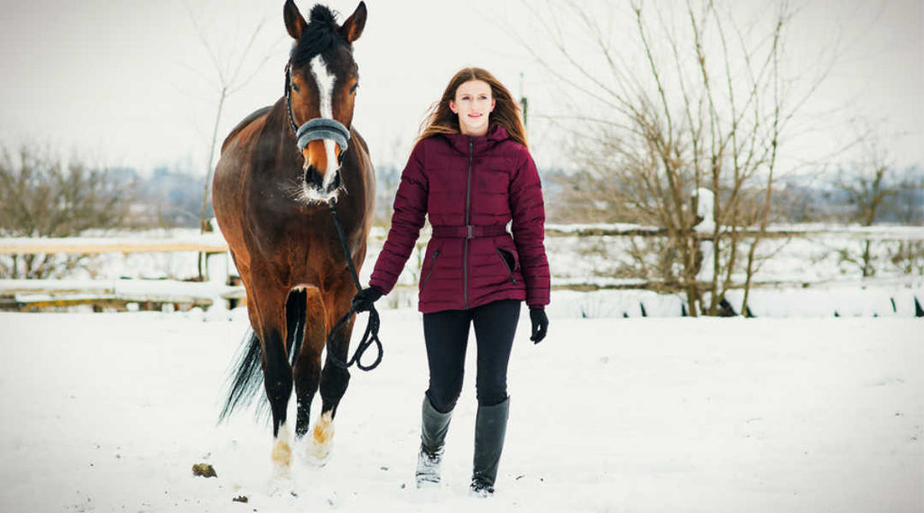 prevent winter colic in horse