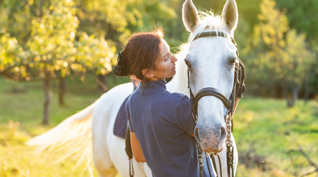 woman handling show horse