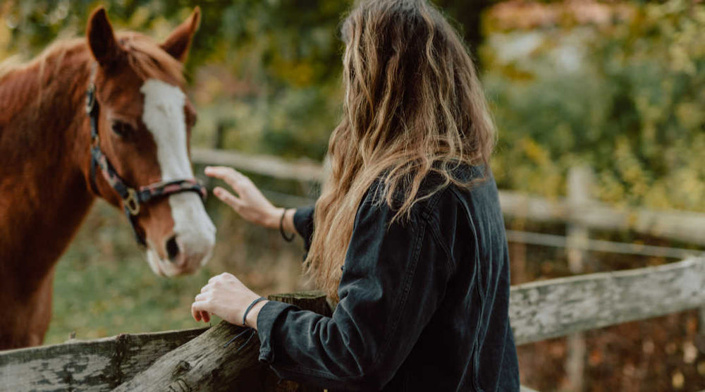 Woman petting horse in corral