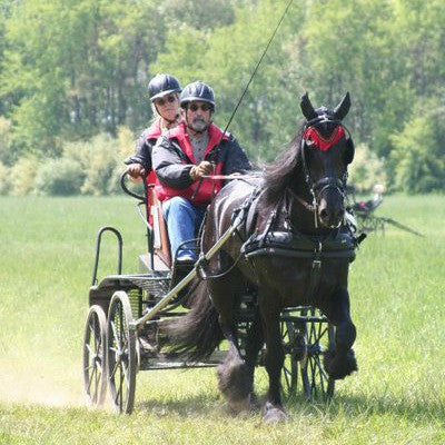  Paul & Maureen Grippa, harness racing