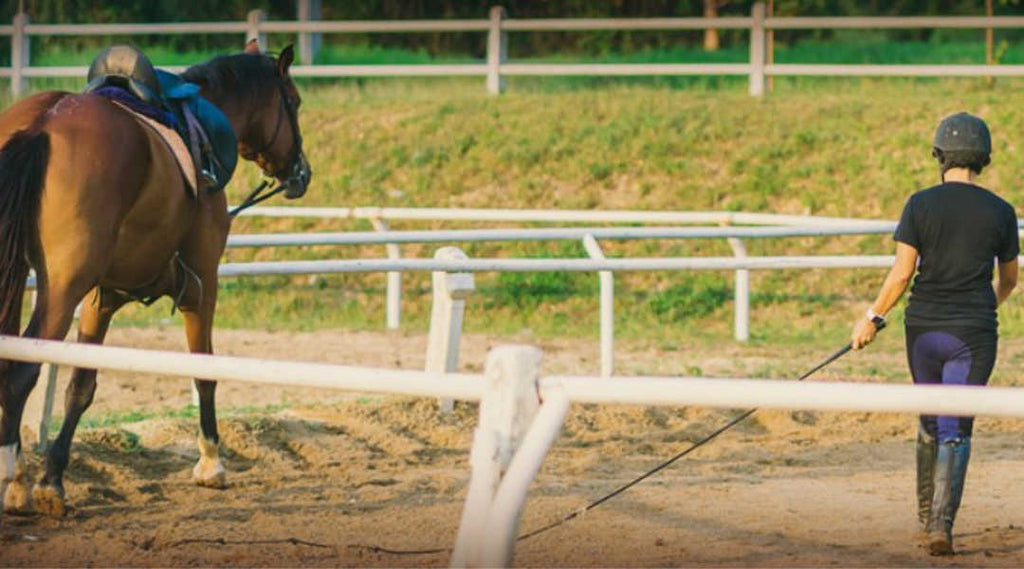 Condition training to prevent injury in horse