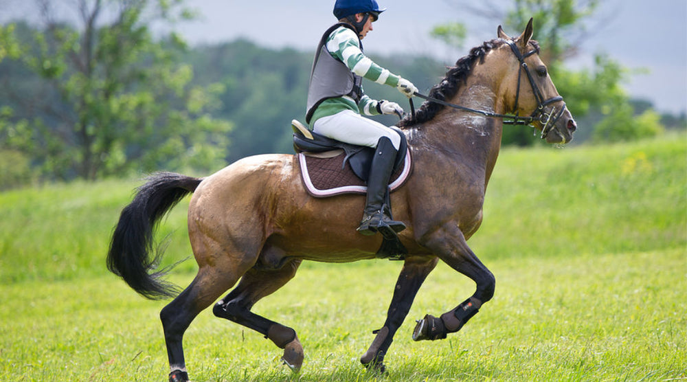  woman riding performance horse in field