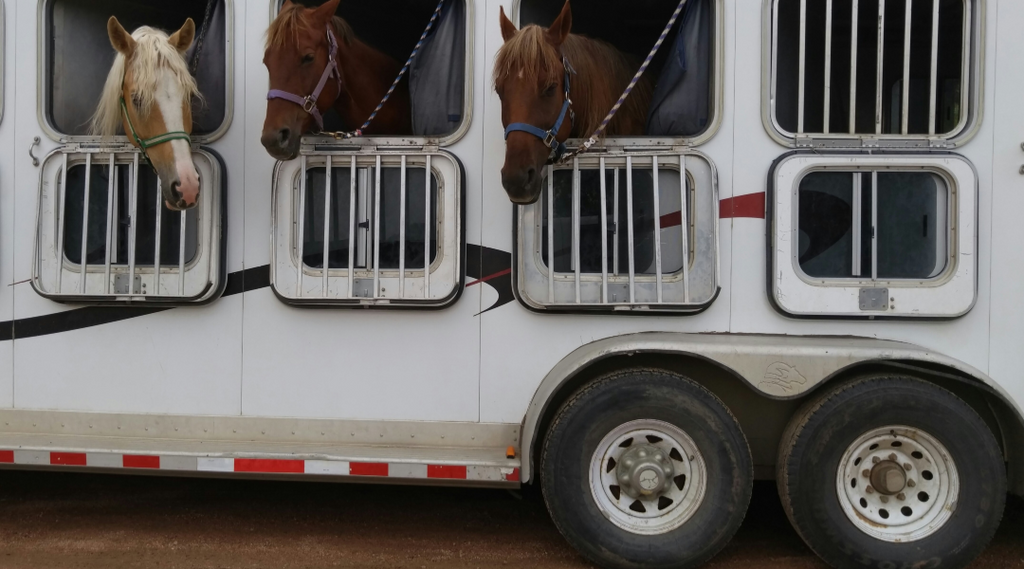  horse trailer