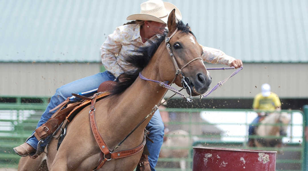  barrel horse racer