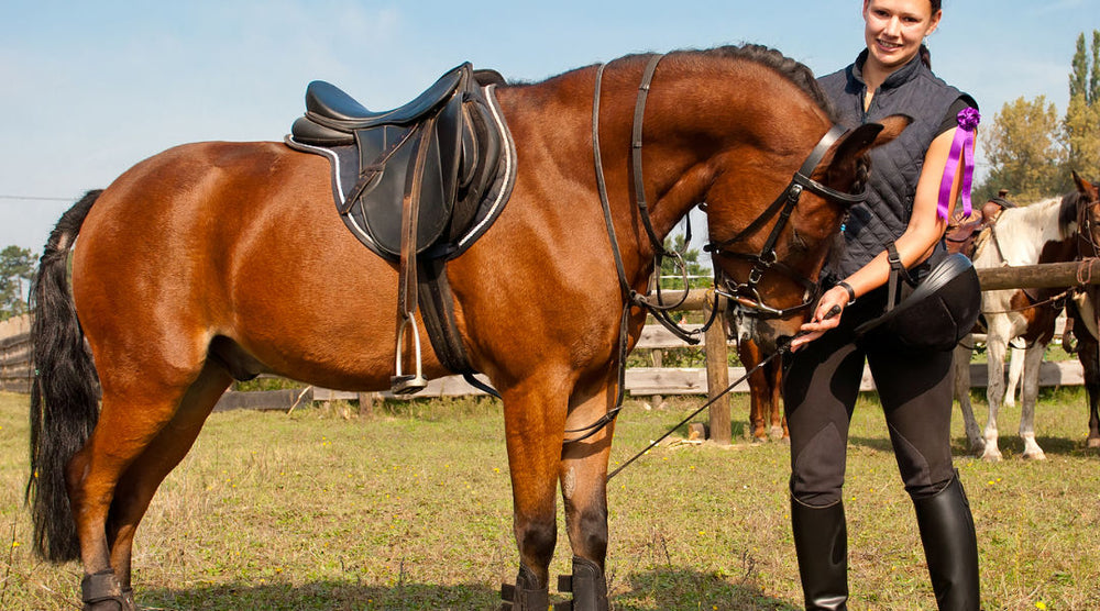  woman with muscular horse